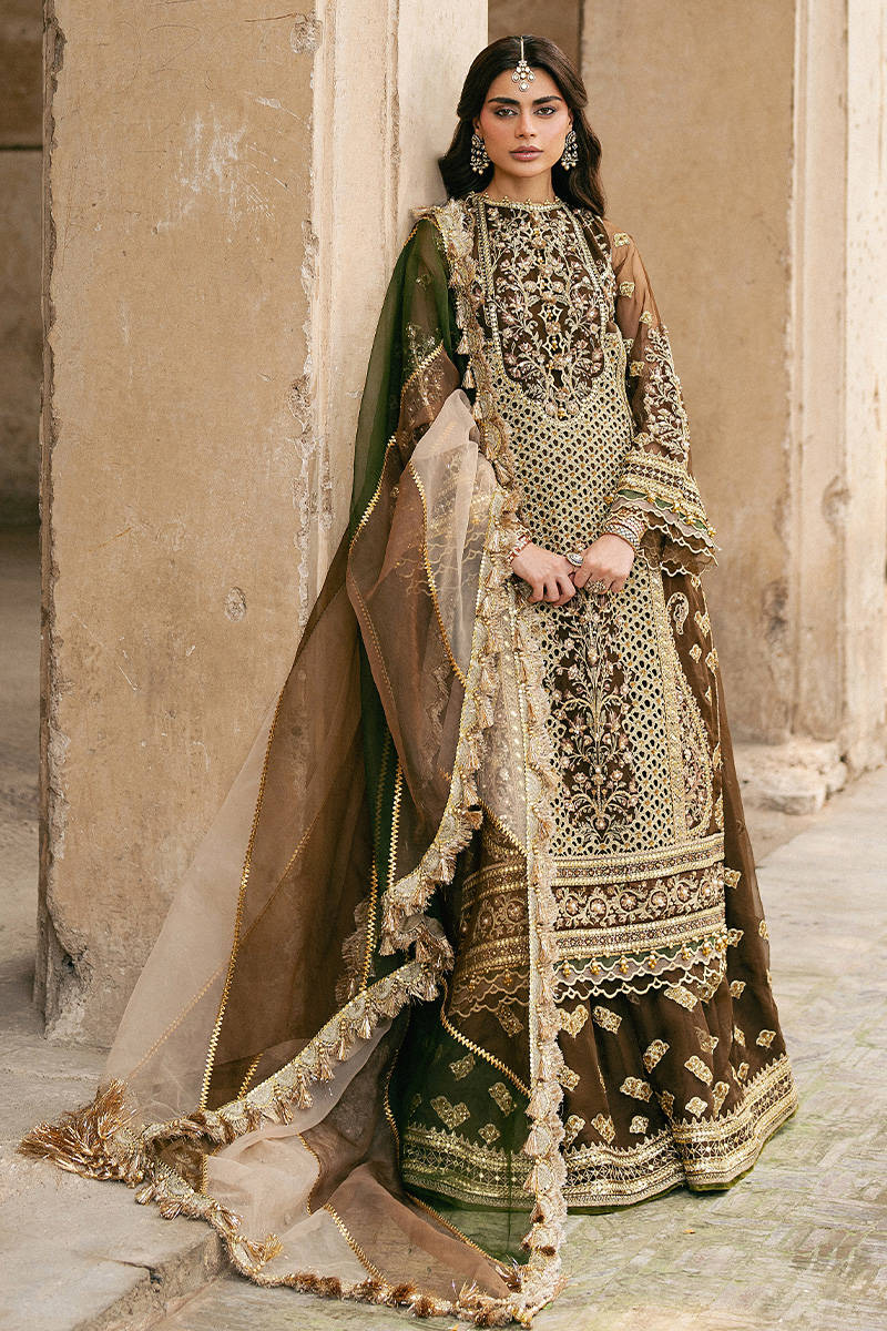 ZARLISH BY MOHSIN RANA NAVEED Tabeer