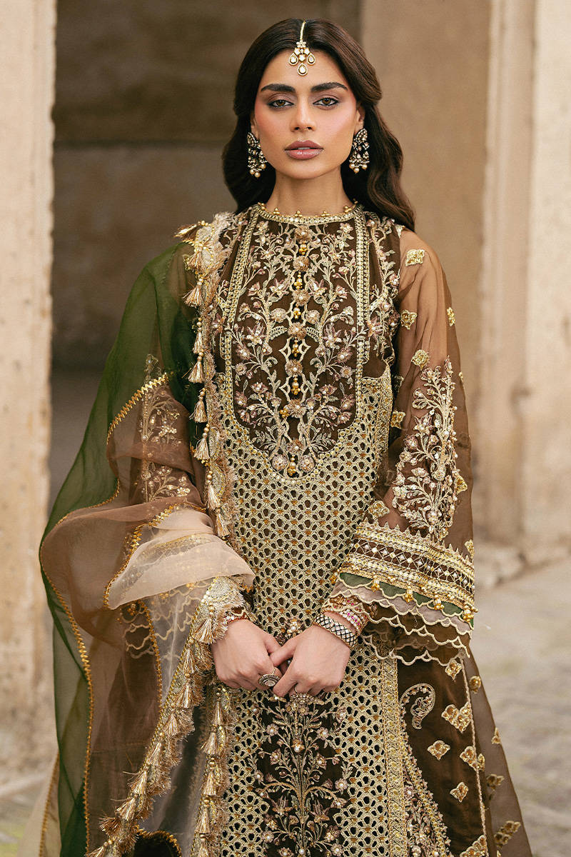 ZARLISH BY MOHSIN RANA NAVEED Tabeer