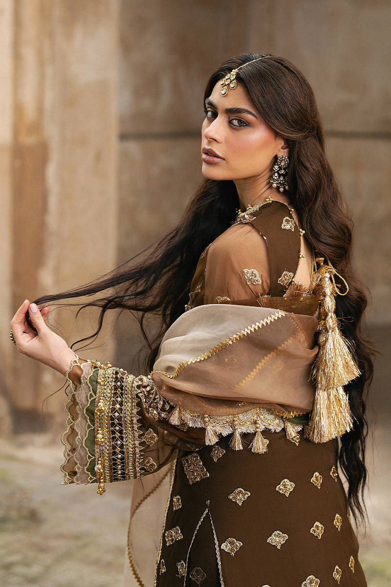 ZARLISH BY MOHSIN RANA NAVEED Tabeer