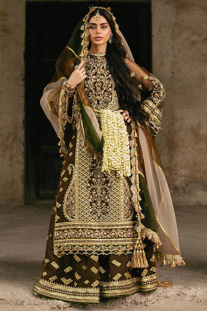 ZARLISH BY MOHSIN RANA NAVEED Tabeer