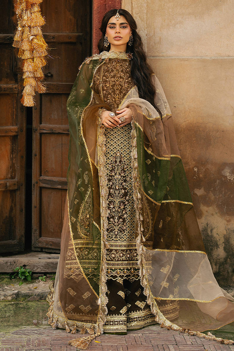 ZARLISH BY MOHSIN RANA NAVEED Tabeer
