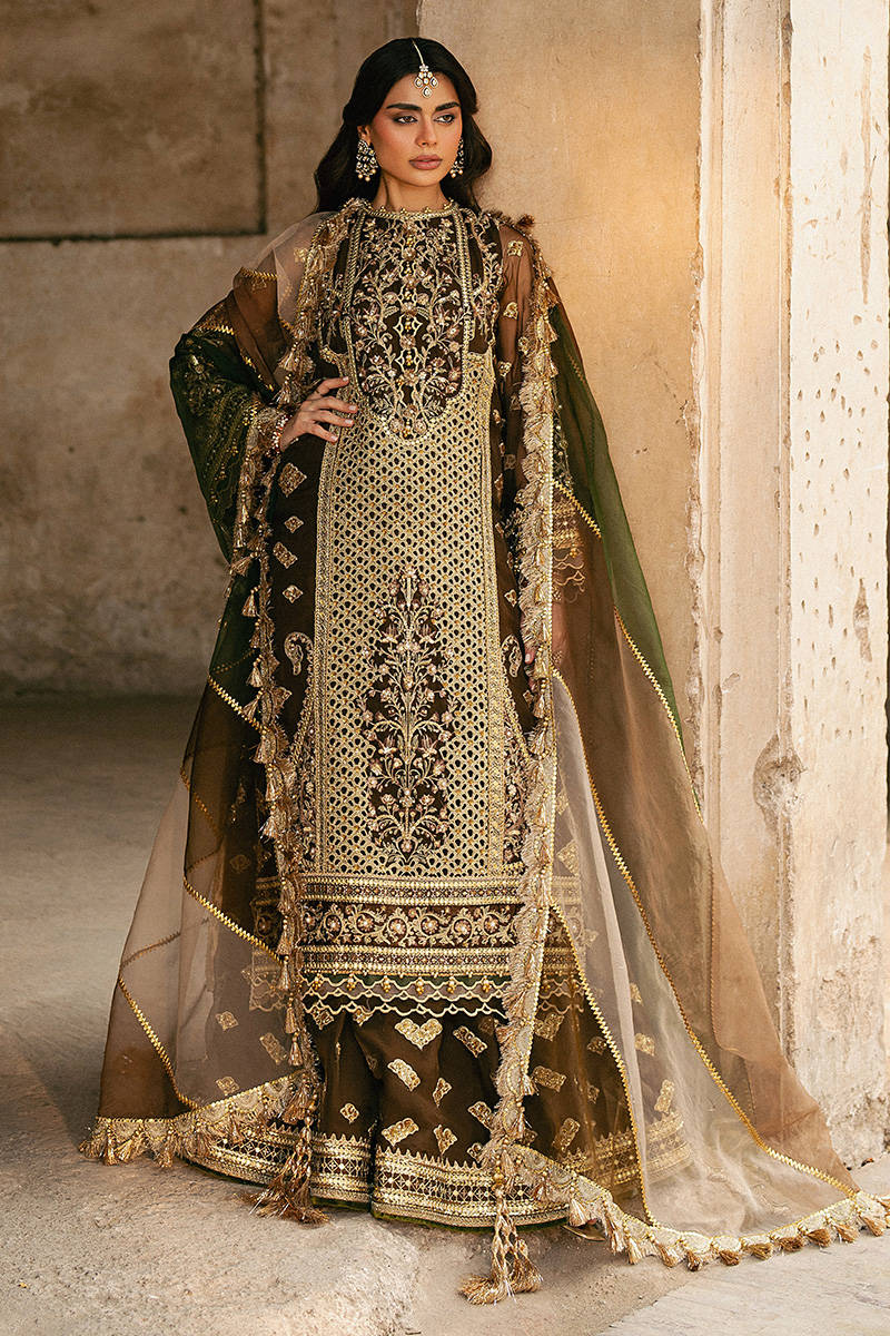 ZARLISH BY MOHSIN RANA NAVEED Tabeer