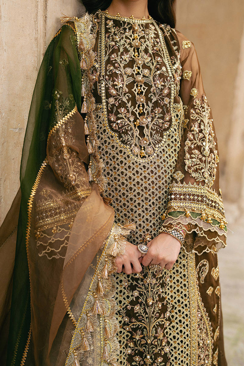 ZARLISH BY MOHSIN RANA NAVEED Tabeer