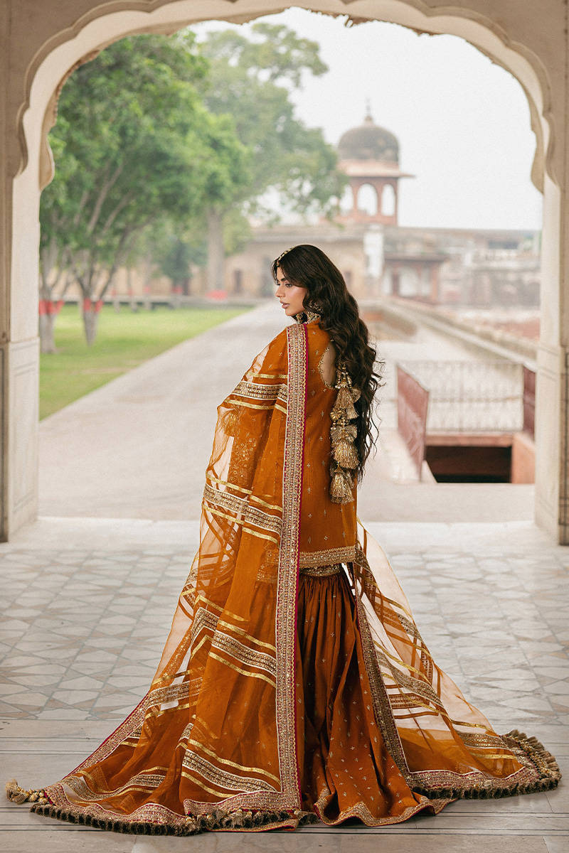ZARLISH BY MOHSIN RANA NAVEED Ranjish