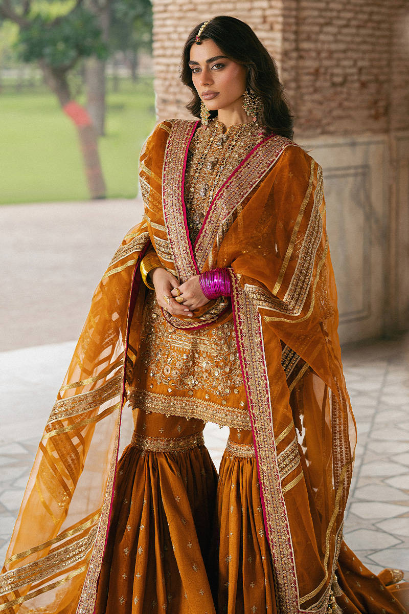 ZARLISH BY MOHSIN RANA NAVEED Ranjish