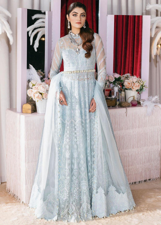D10 - GOSSAMER  - Starlet by Afrozeh  Chiffon