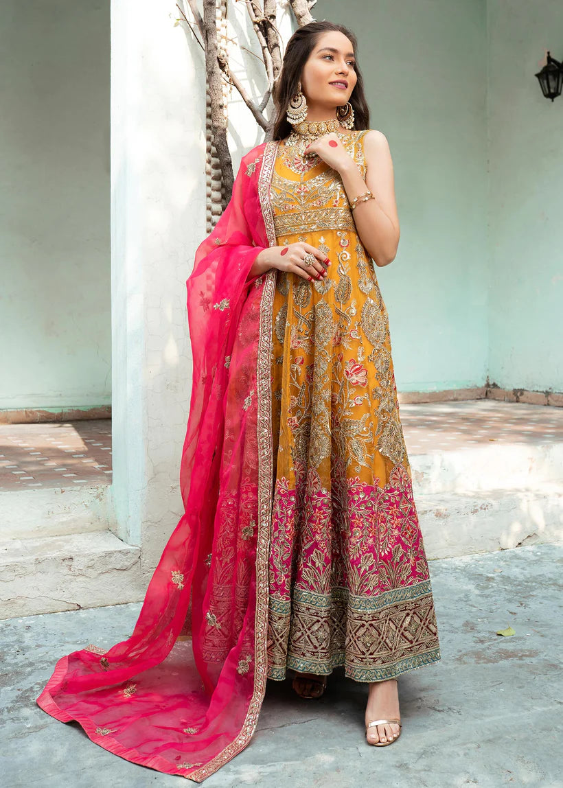 SHANAYA -MEHR - RUNG FESTIVE COLLECTION