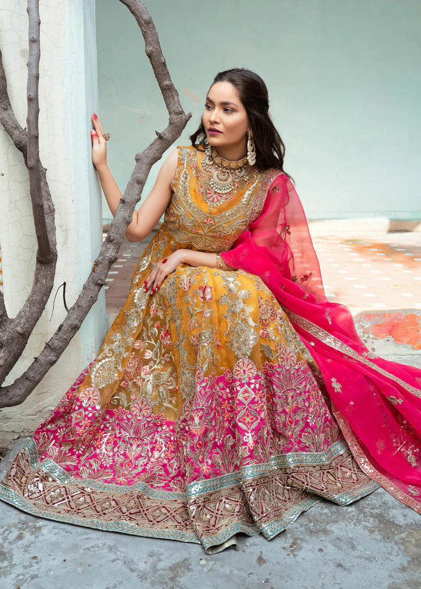 SHANAYA -MEHR - RUNG FESTIVE COLLECTION