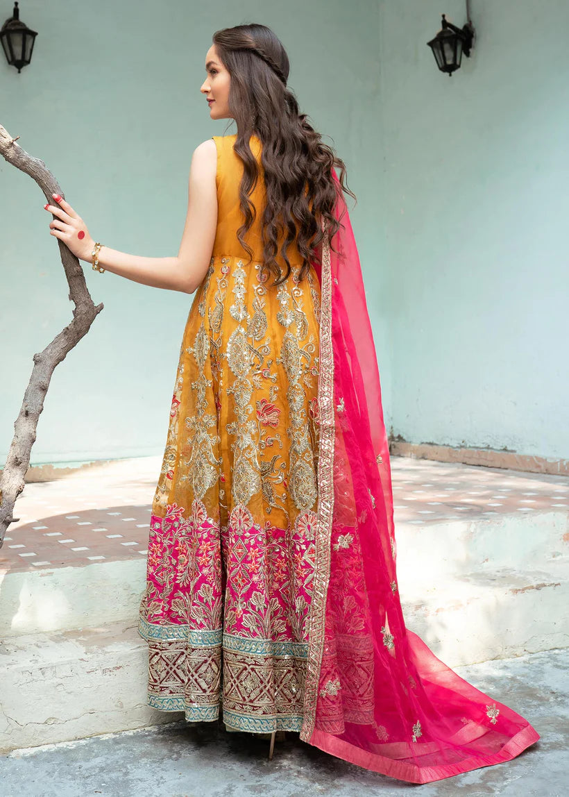 SHANAYA -MEHR - RUNG FESTIVE COLLECTION