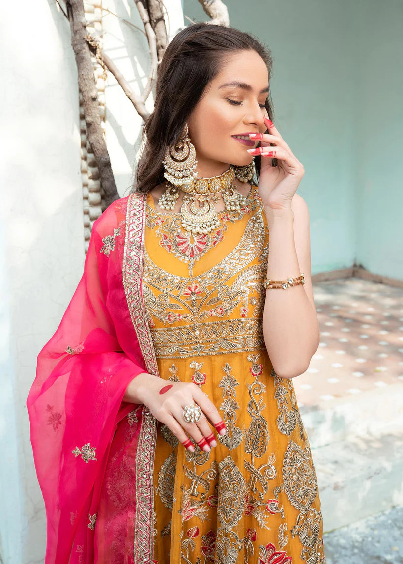 SHANAYA -MEHR - RUNG FESTIVE COLLECTION