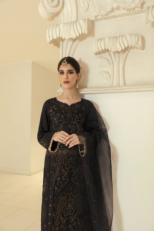 RajBari Chikankari Edit - 07B