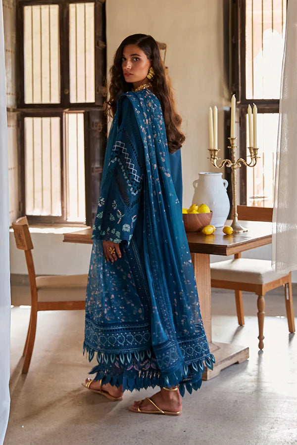 Suffuse Festive Lawn - AMAL