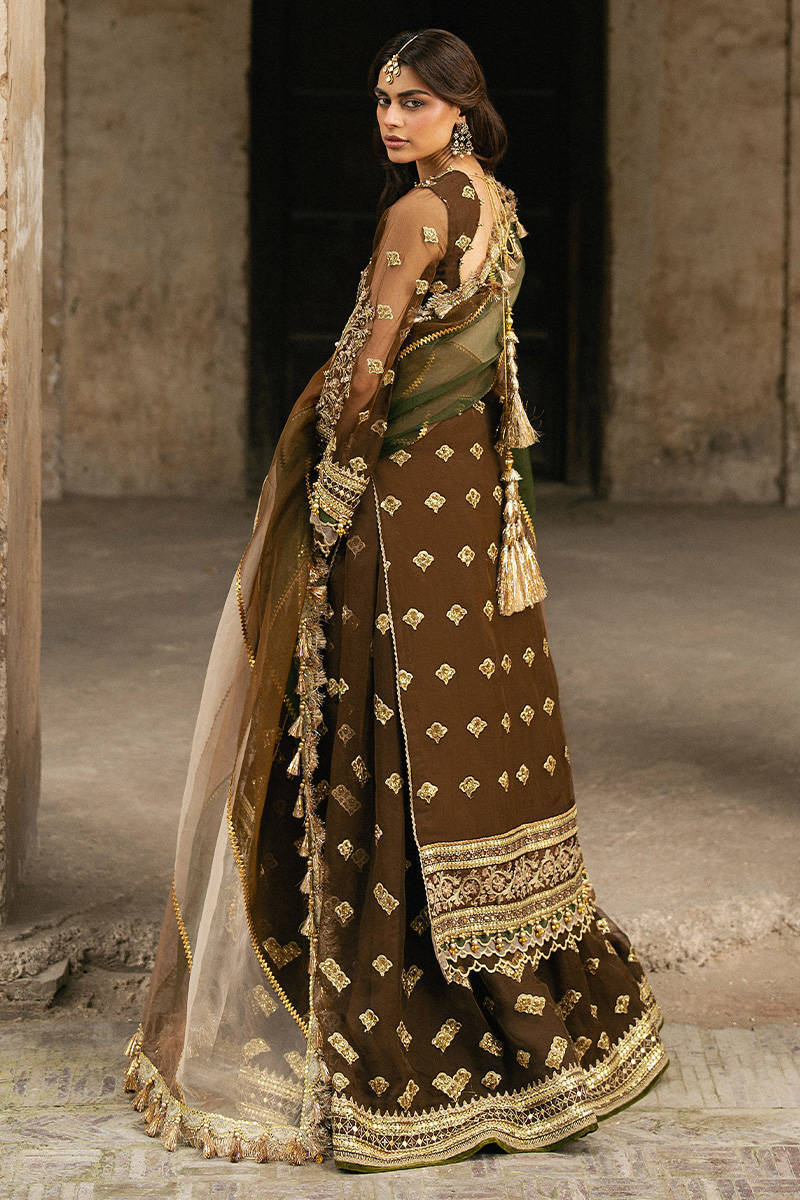 ZARLISH BY MOHSIN RANA NAVEED Tabeer