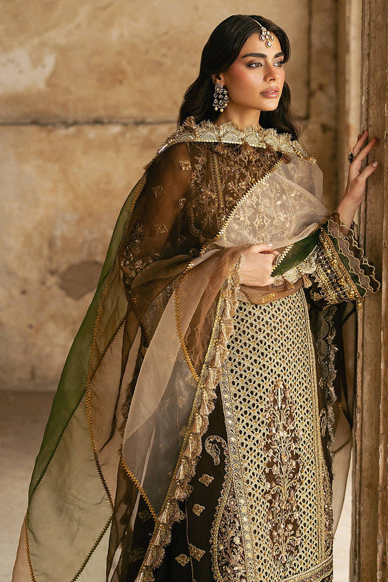 ZARLISH BY MOHSIN RANA NAVEED Tabeer