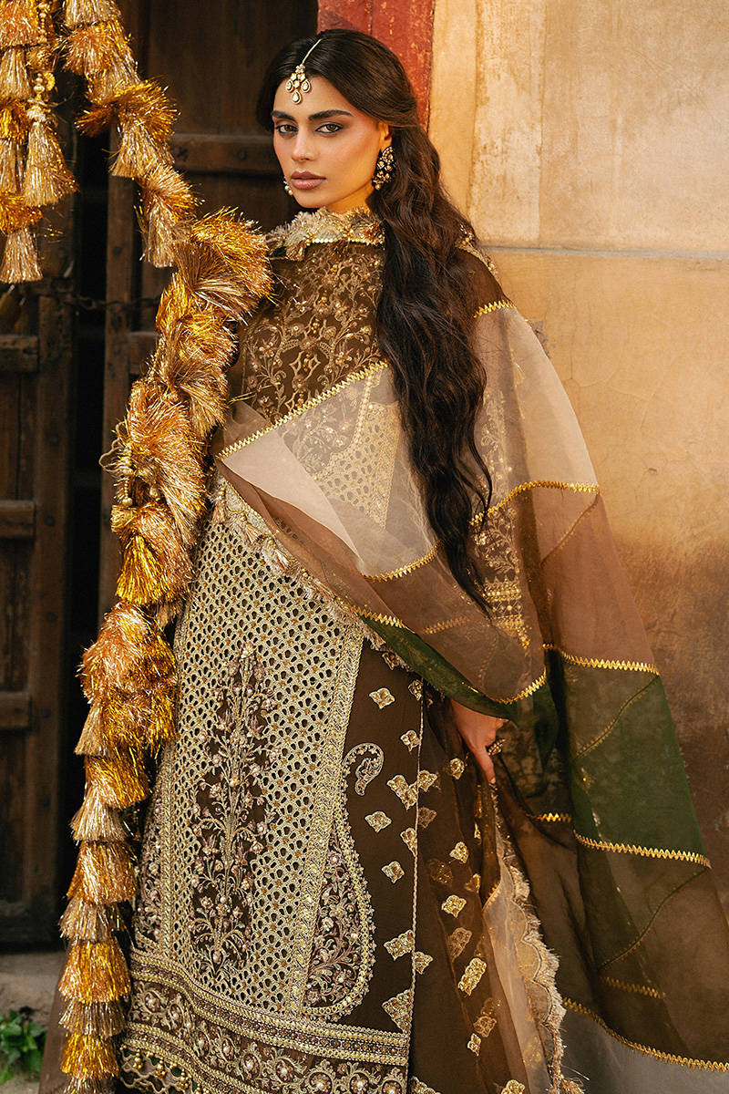 ZARLISH BY MOHSIN RANA NAVEED Tabeer