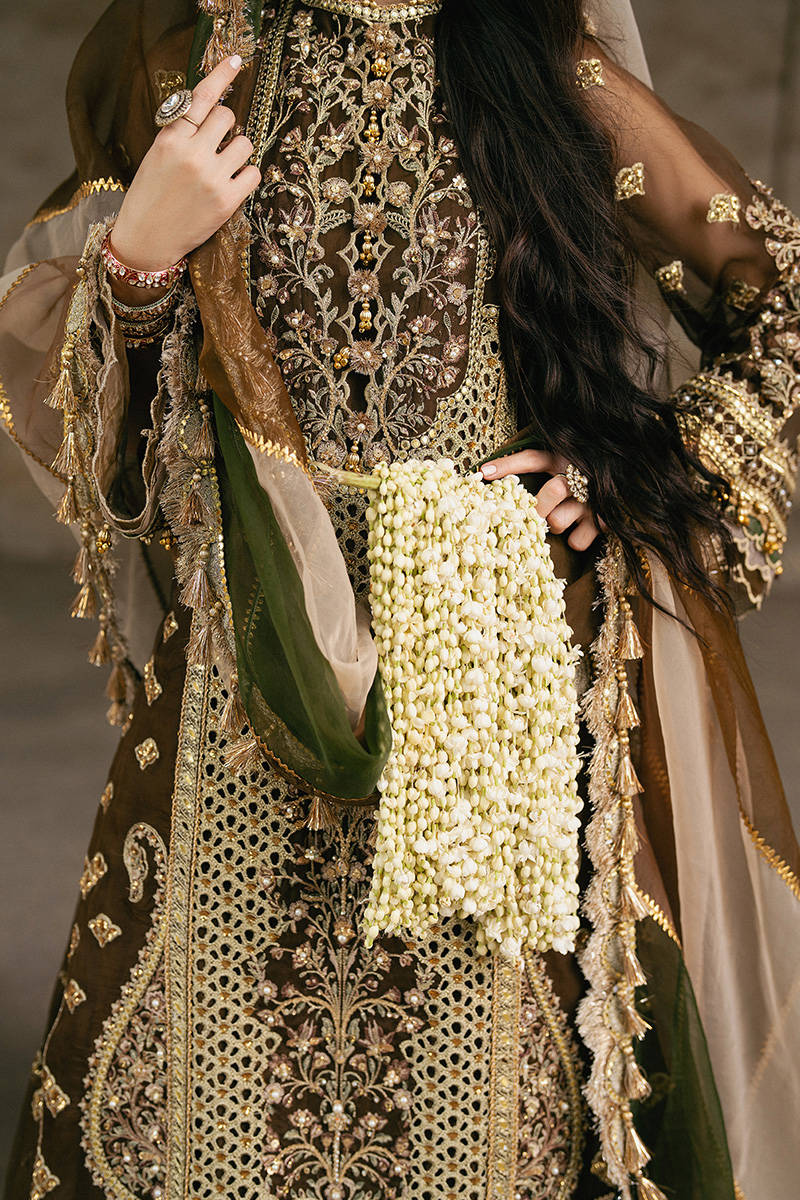 ZARLISH BY MOHSIN RANA NAVEED Tabeer