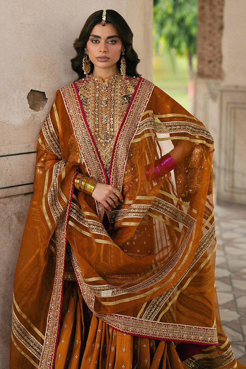 ZARLISH BY MOHSIN RANA NAVEED Ranjish