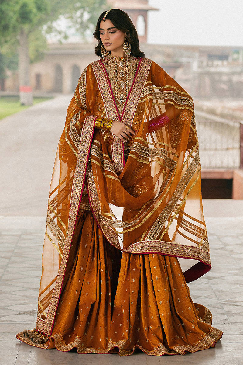 ZARLISH BY MOHSIN RANA NAVEED Ranjish