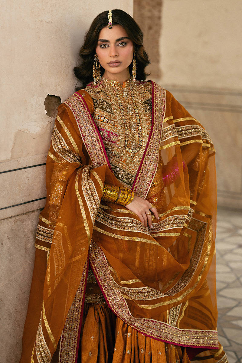 ZARLISH BY MOHSIN RANA NAVEED Ranjish