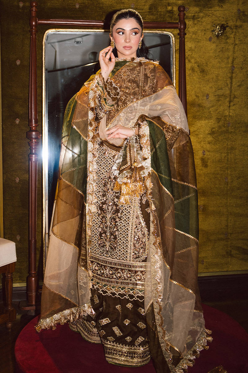 ZARLISH BY MOHSIN RANA NAVEED Tabeer