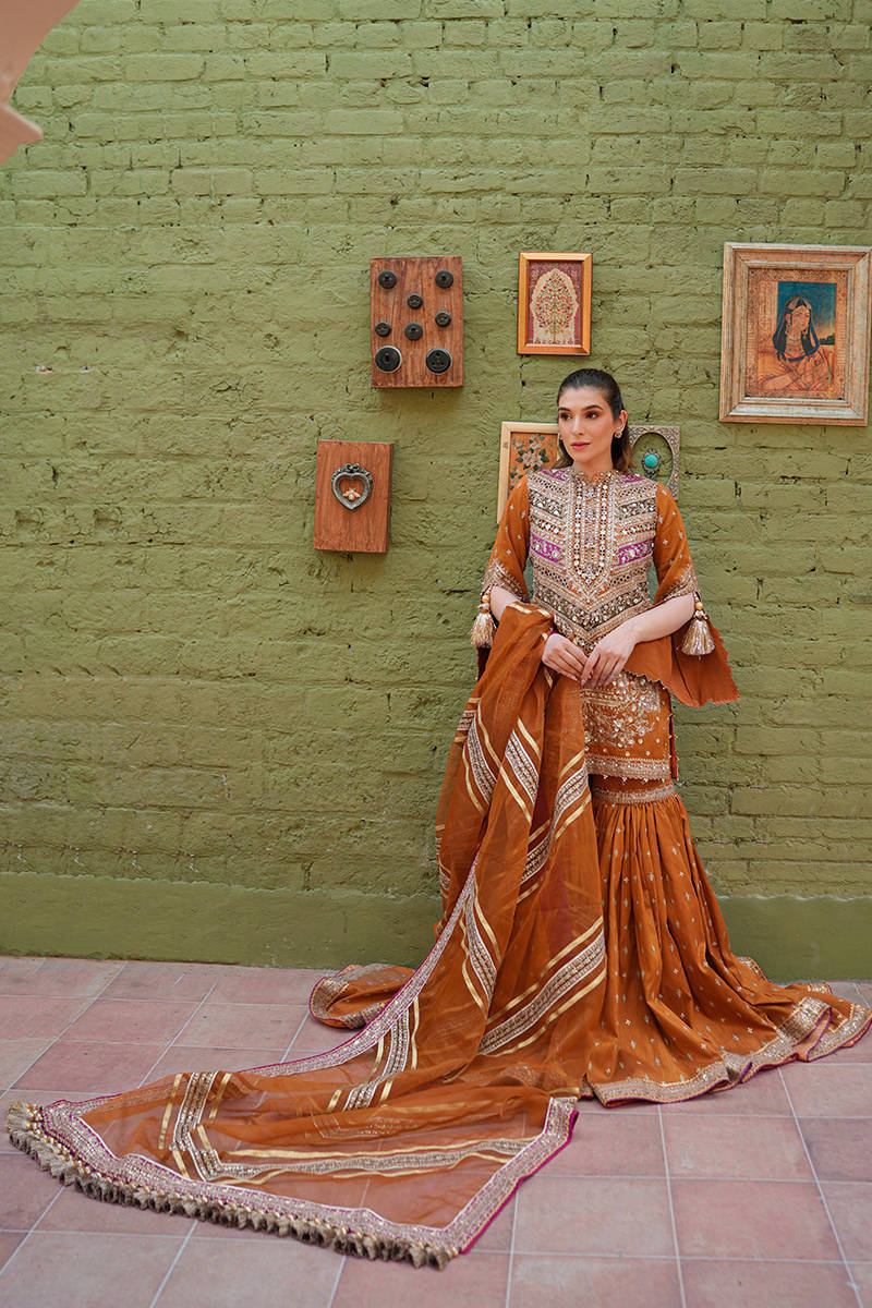 ZARLISH BY MOHSIN RANA NAVEED Ranjish