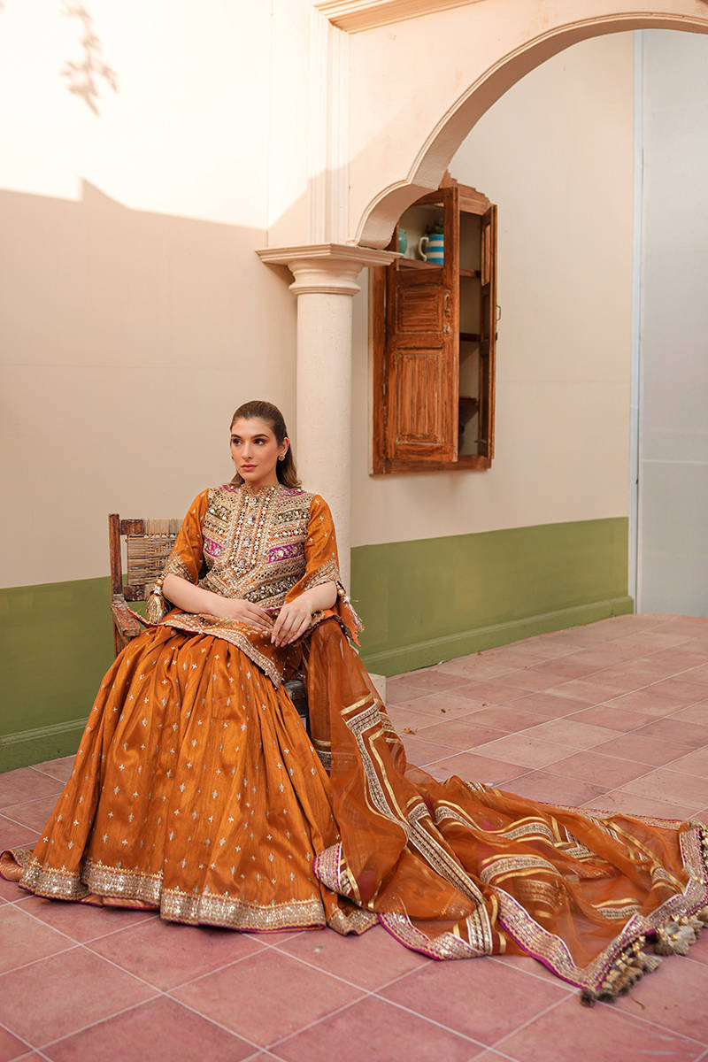 ZARLISH BY MOHSIN RANA NAVEED Ranjish