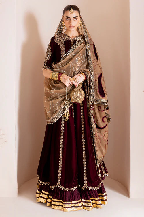 Chandni Luxury Velvet By Baroque CVF D-12 GULMIRA