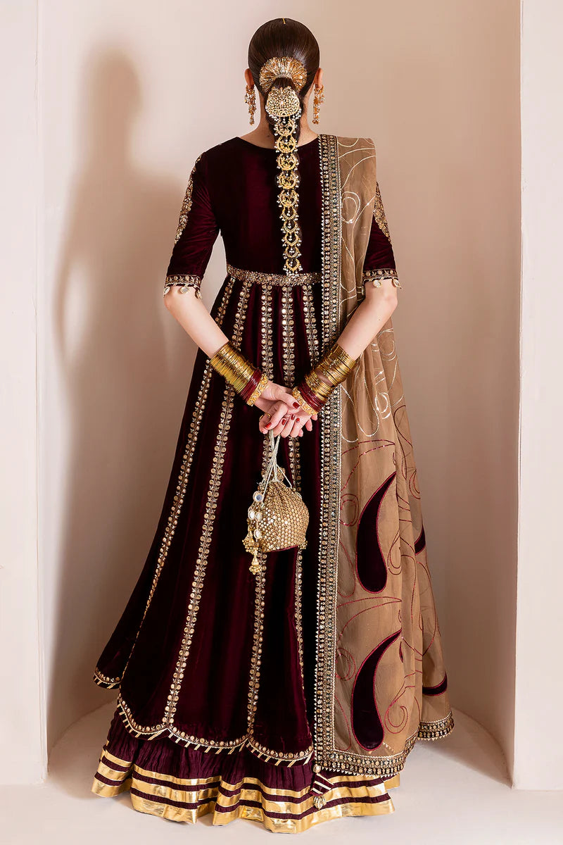 Chandni Luxury Velvet By Baroque CVF D-12 GULMIRA