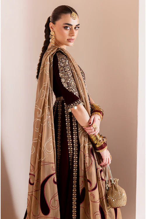 Chandni Luxury Velvet By Baroque CVF D-12 GULMIRA